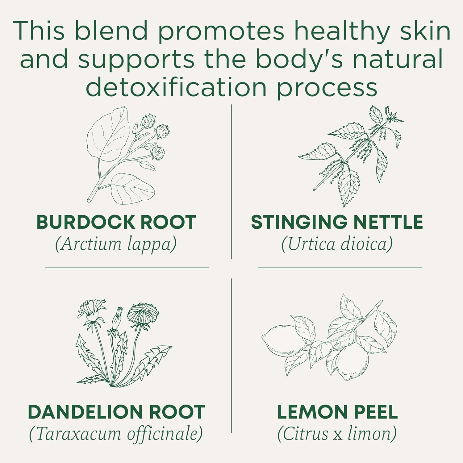 caffeine-free formulation suitable for evenings and sensitive drinkers
