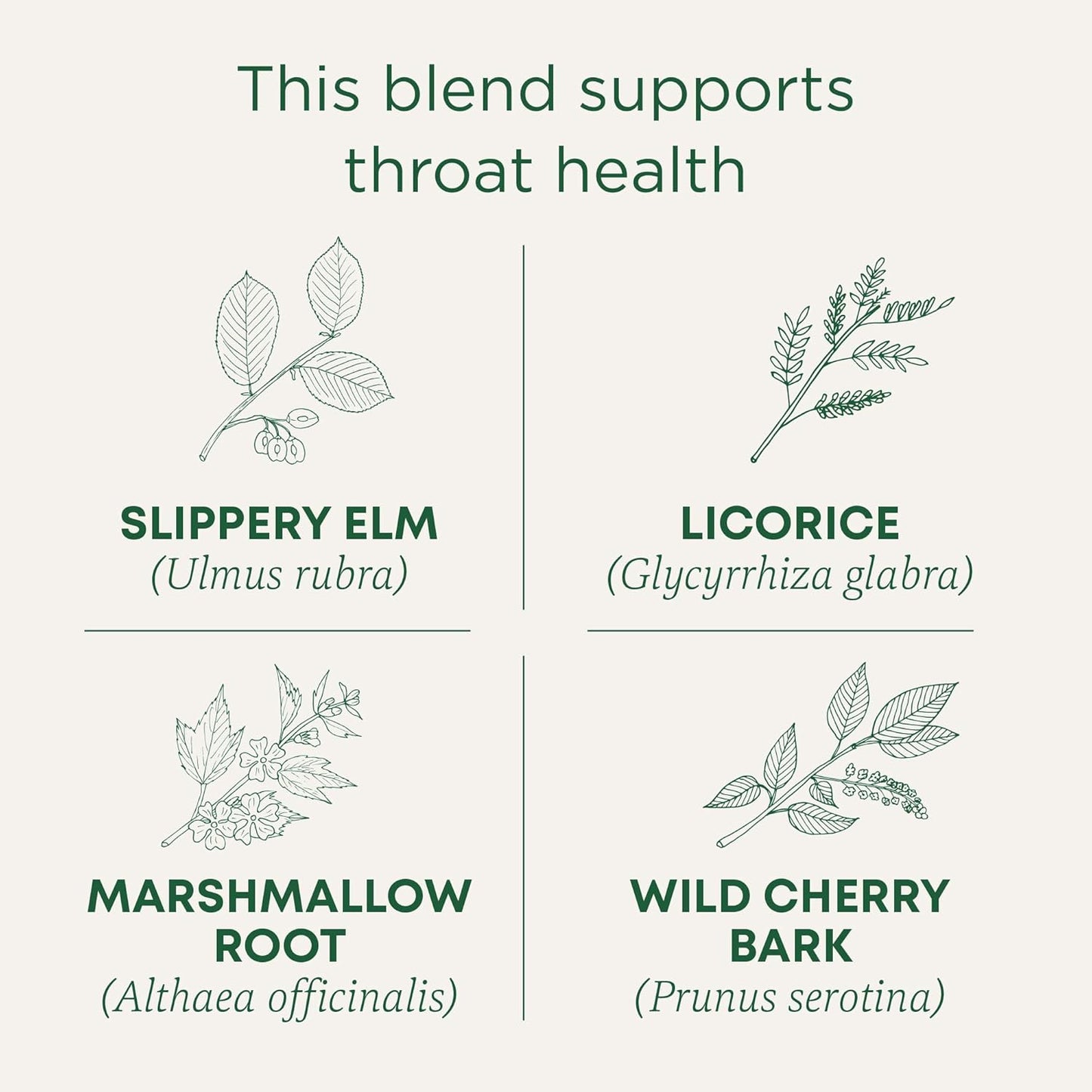 compostable tea bag material