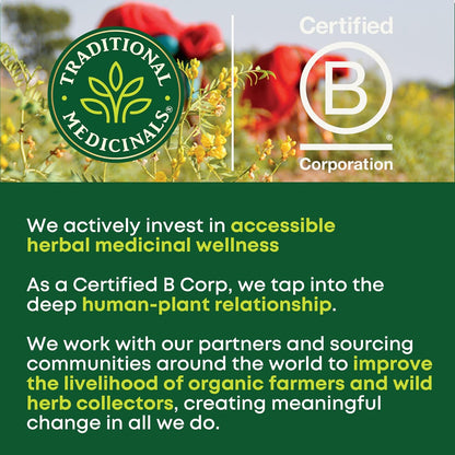 compostable tea bags (16 count per box)