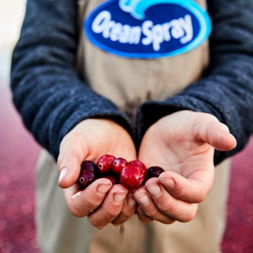 Ocean Spray Cran-Energy Cranberry Raspberry Energy Juice Drink for Hiking Trails and Active Outdoor Hydration