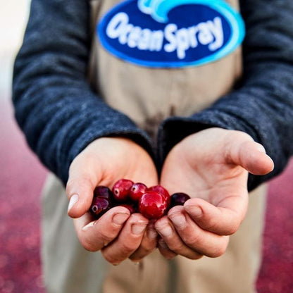 Ocean Spray Cran-Energy Cranberry Raspberry Energy Juice Drink for Hiking Trails and Active Outdoor Hydration