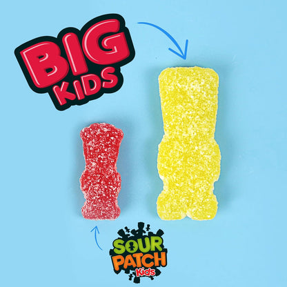SOUR PATCH KIDS Big Kids Assorted Fruit Gummies for Kids' Snack Drawer, 12 oz Family Resealable Bag
