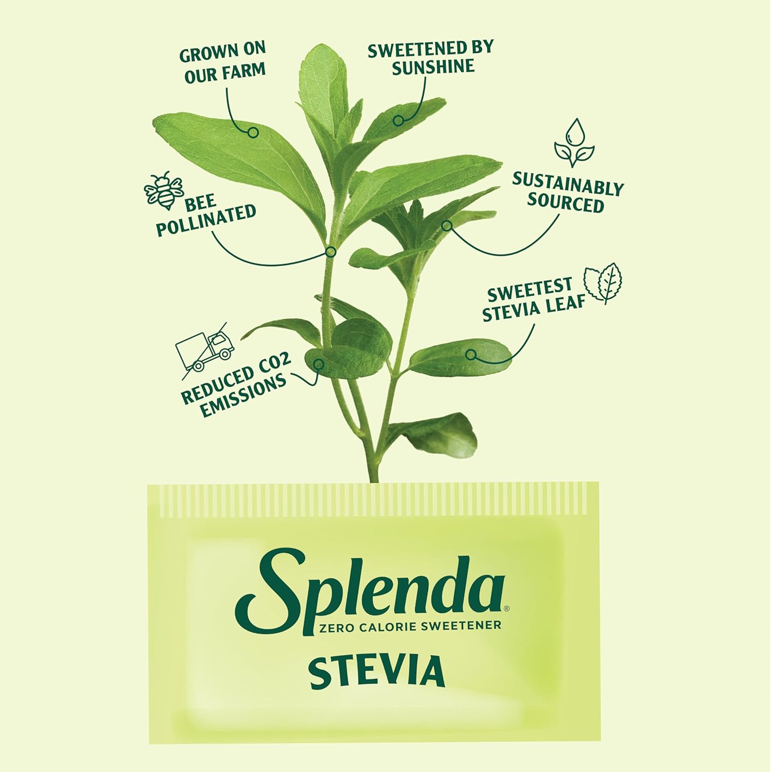 SPLENDA Stevia Plant Based Granulated Sweetener – Wellness Counter Companion for Smoothies and Yogurt Bowls