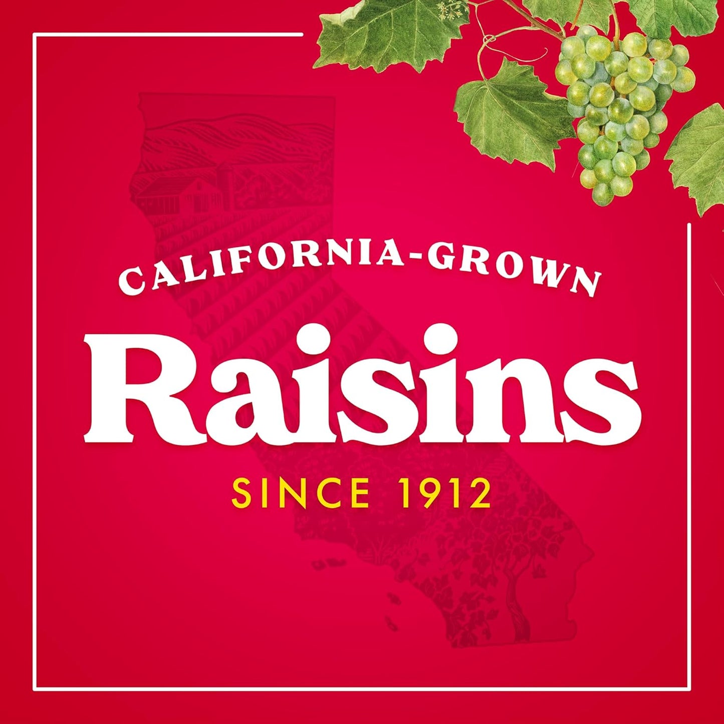Sun-Maid Strawberry Yogurt Raisins – Wholesome Sweet Snack for Wellness Lifestyles, 1 oz Single-Serve Pouches