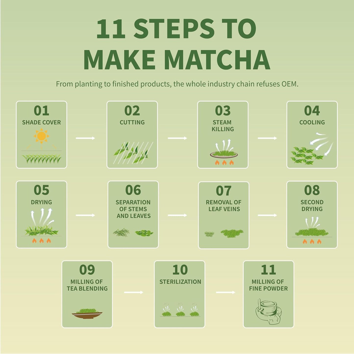 TIAN HU SHAN Culinary Matcha Powder – Productivity Drink Mix for Busy Professionals, Iced Latte Base That Keeps You Sharp