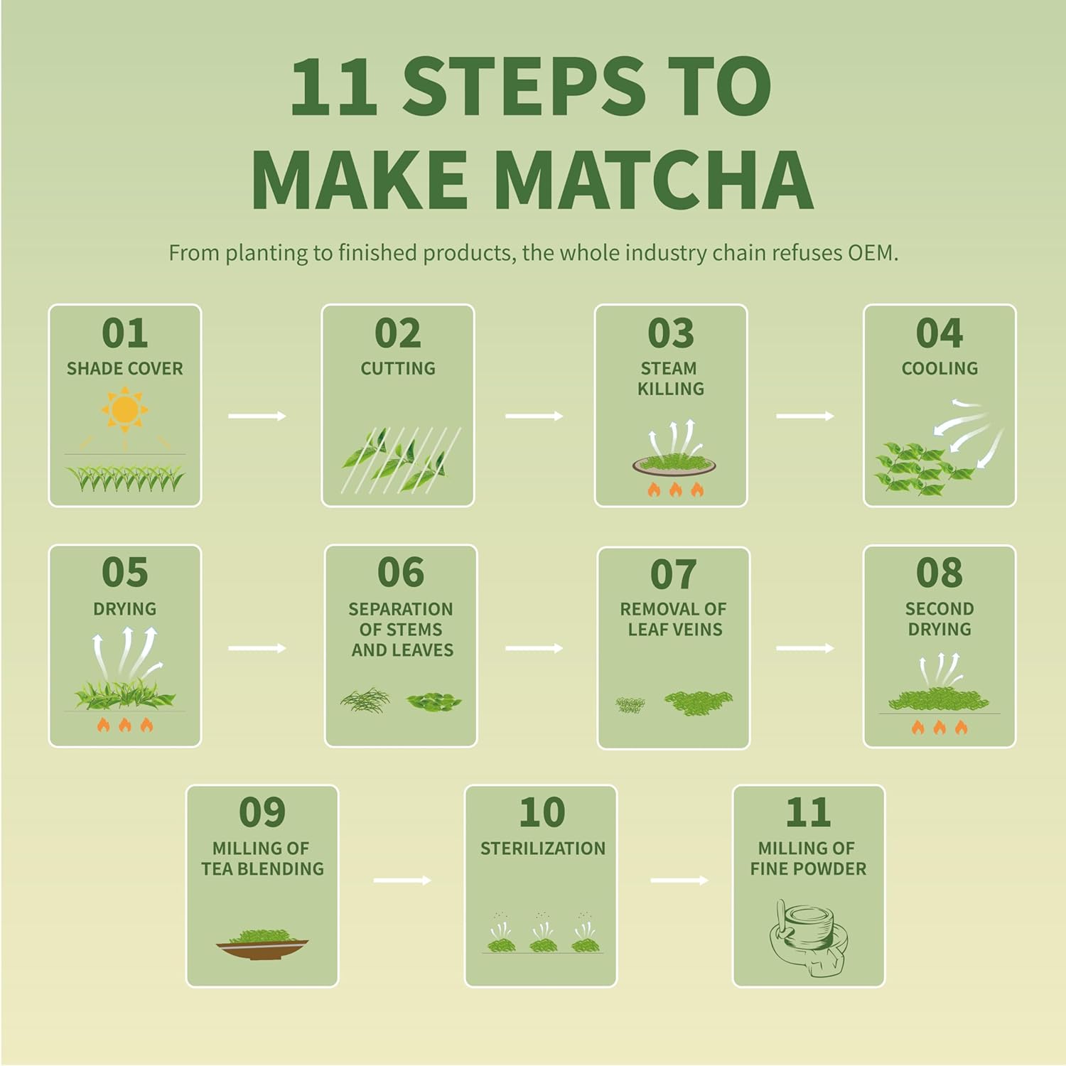 TIAN HU SHAN Culinary Matcha Powder – Productivity Drink Mix for Busy Professionals, Iced Latte Base That Keeps You Sharp