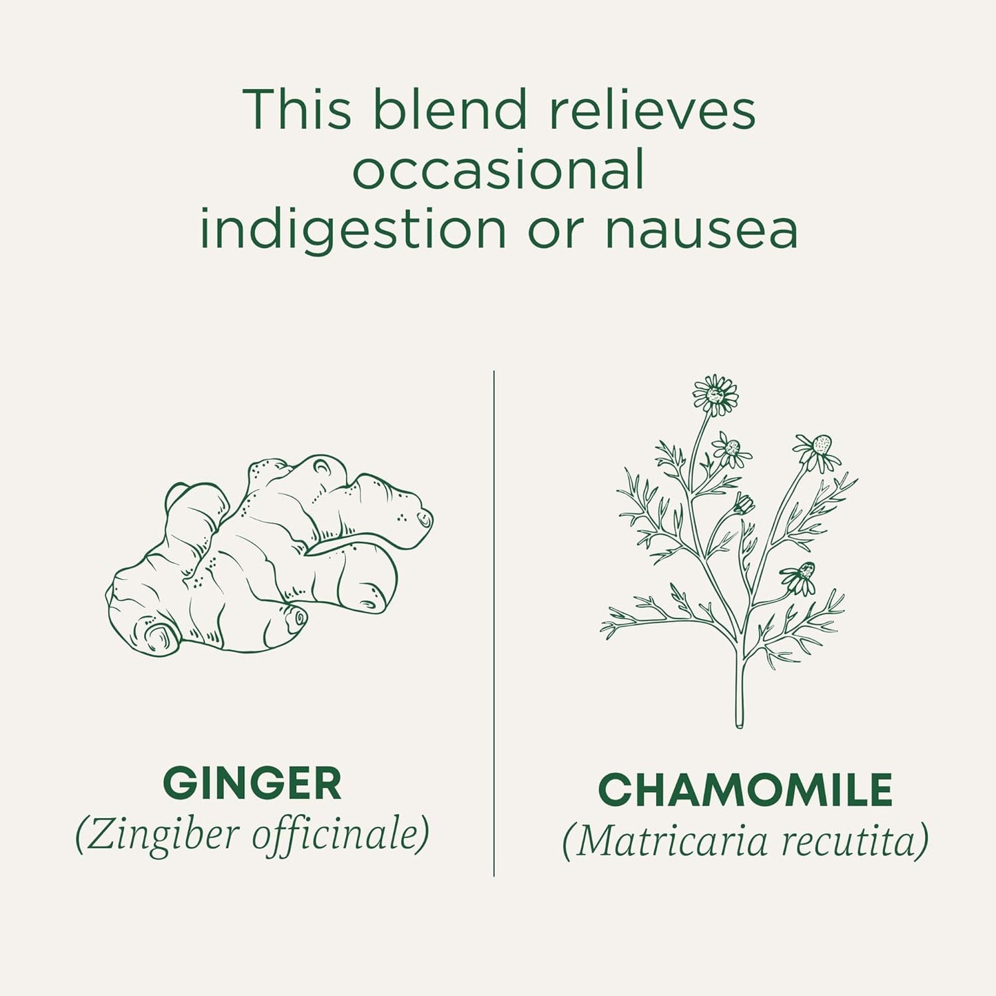 Traditional Medicinals Caffeine-Free Ginger & Chamomile Tea – Encouraging Valentine's Day Gift for Her Wellness Routine, 16 Bags