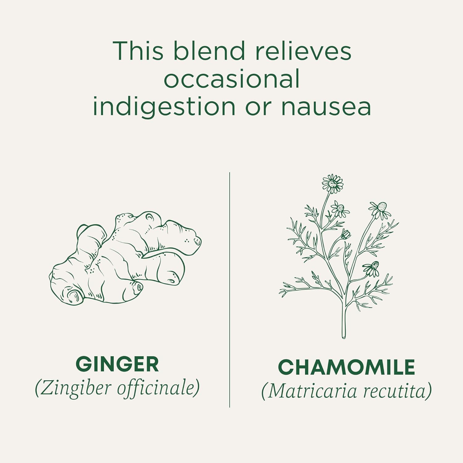 Traditional Medicinals Caffeine-Free Ginger & Chamomile Tea – Encouraging Valentine's Day Gift for Her Wellness Routine, 16 Bags