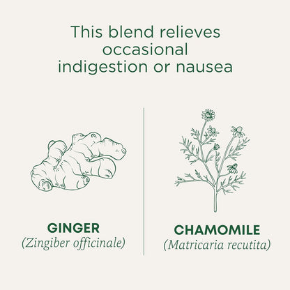 Traditional Medicinals Caffeine-Free Ginger & Chamomile Tea – Encouraging Valentine's Day Gift for Her Wellness Routine, 16 Bags