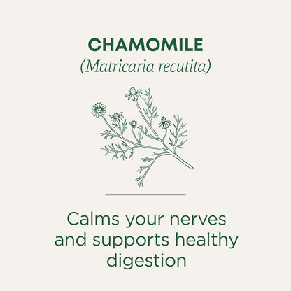 Traditional Medicinals Chamomile Herbal Tea – Floral Scented Tea for Mindfulness Space and Anxiety Relief Moments, 16 Bags