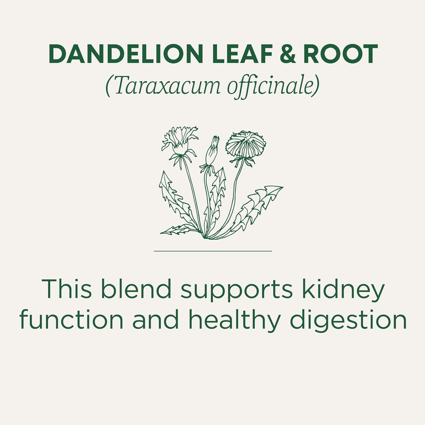 Traditional Medicinals Dandelion Leaf & Root Tea – Loving Care Package for Someone Doing a Seasonal Cleanse