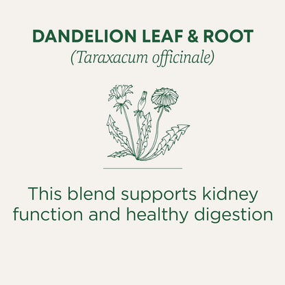 Traditional Medicinals Dandelion Leaf & Root Tea – Loving Care Package for Someone Doing a Seasonal Cleanse