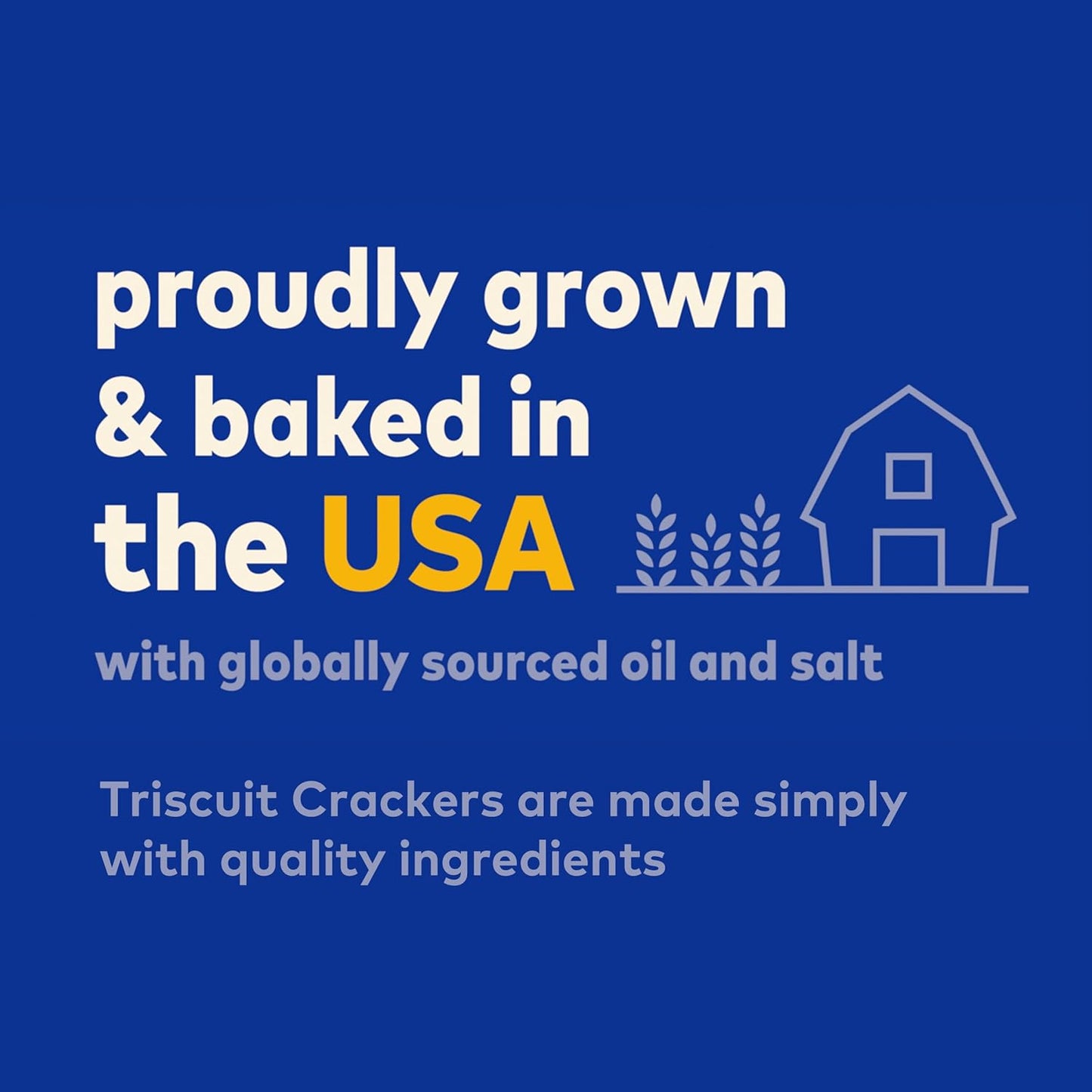Triscuit Hint of Sea Salt Whole Grain Crackers – Durable Woven Cracker for Backyard Gatherings and Outdoor Charcuterie