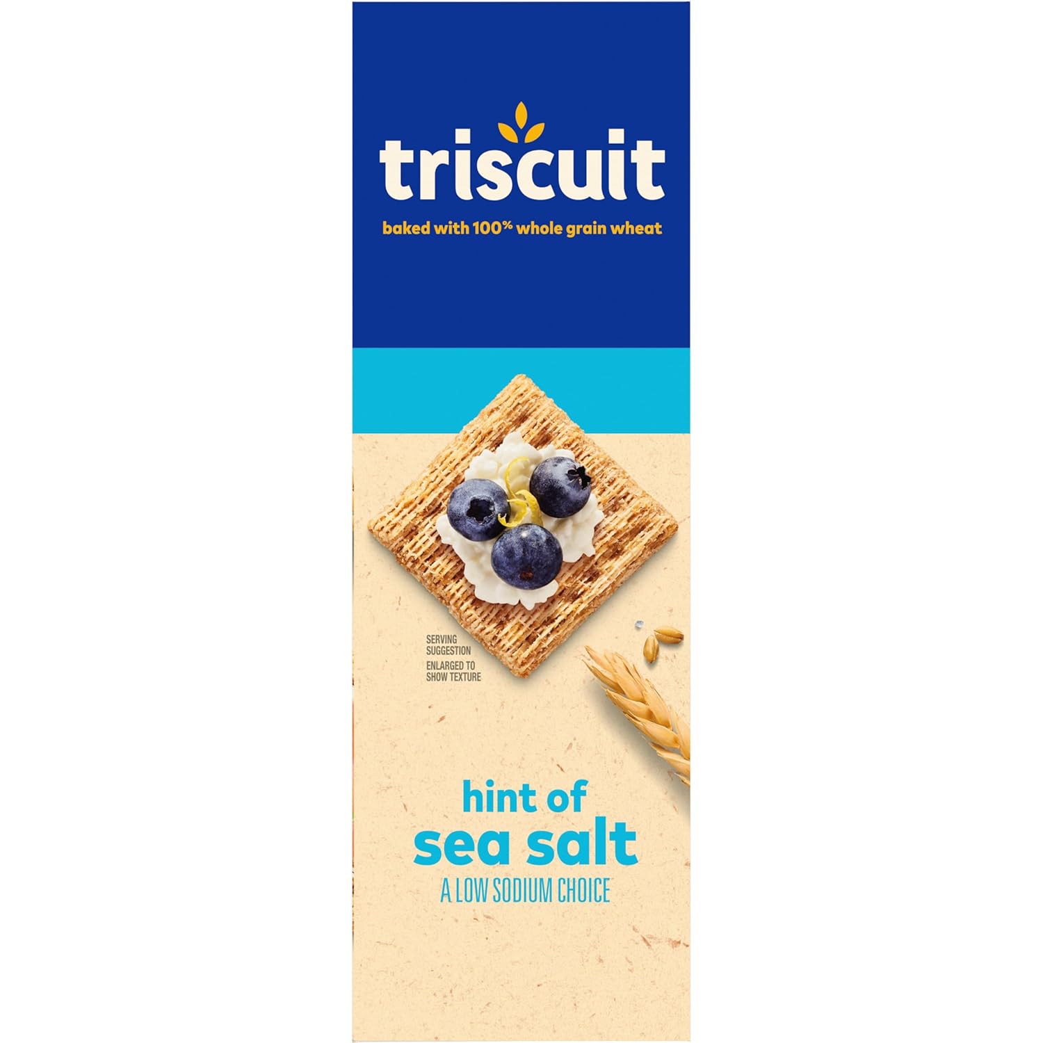 Triscuit Hint of Sea Salt Whole Grain Crackers – Durable Woven Cracker for Backyard Gatherings and Outdoor Charcuterie