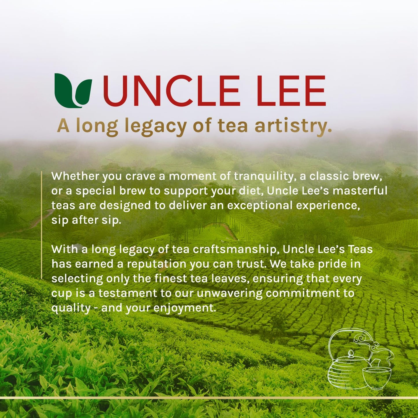 Uncle Lee's Organic Matcha Green Tea Bags – Single-Serve Focus Brew for Conference Room and Office Pantry