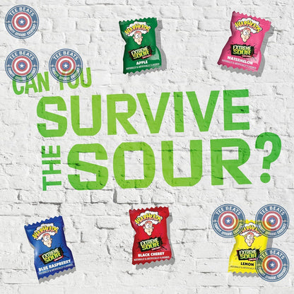 WARHEADS Extreme Sour Hard Candy Variety Pack 2 oz Bag Road Trip Snack and Roadside Treat Gift Idea