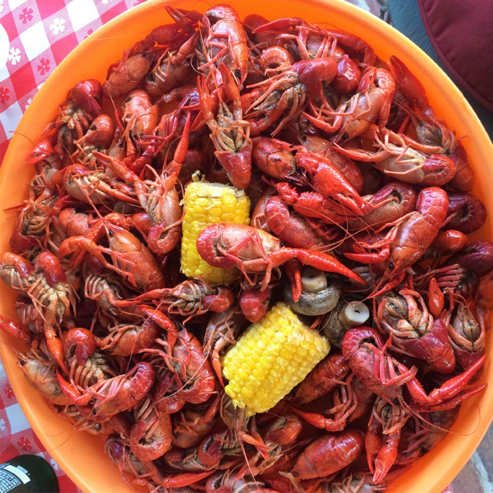 Zatarain's Crawfish, Shrimp & Crab Boil 4.5 lb – Ready-to-Give Gift for Tailgaters and Backyard Entertainers